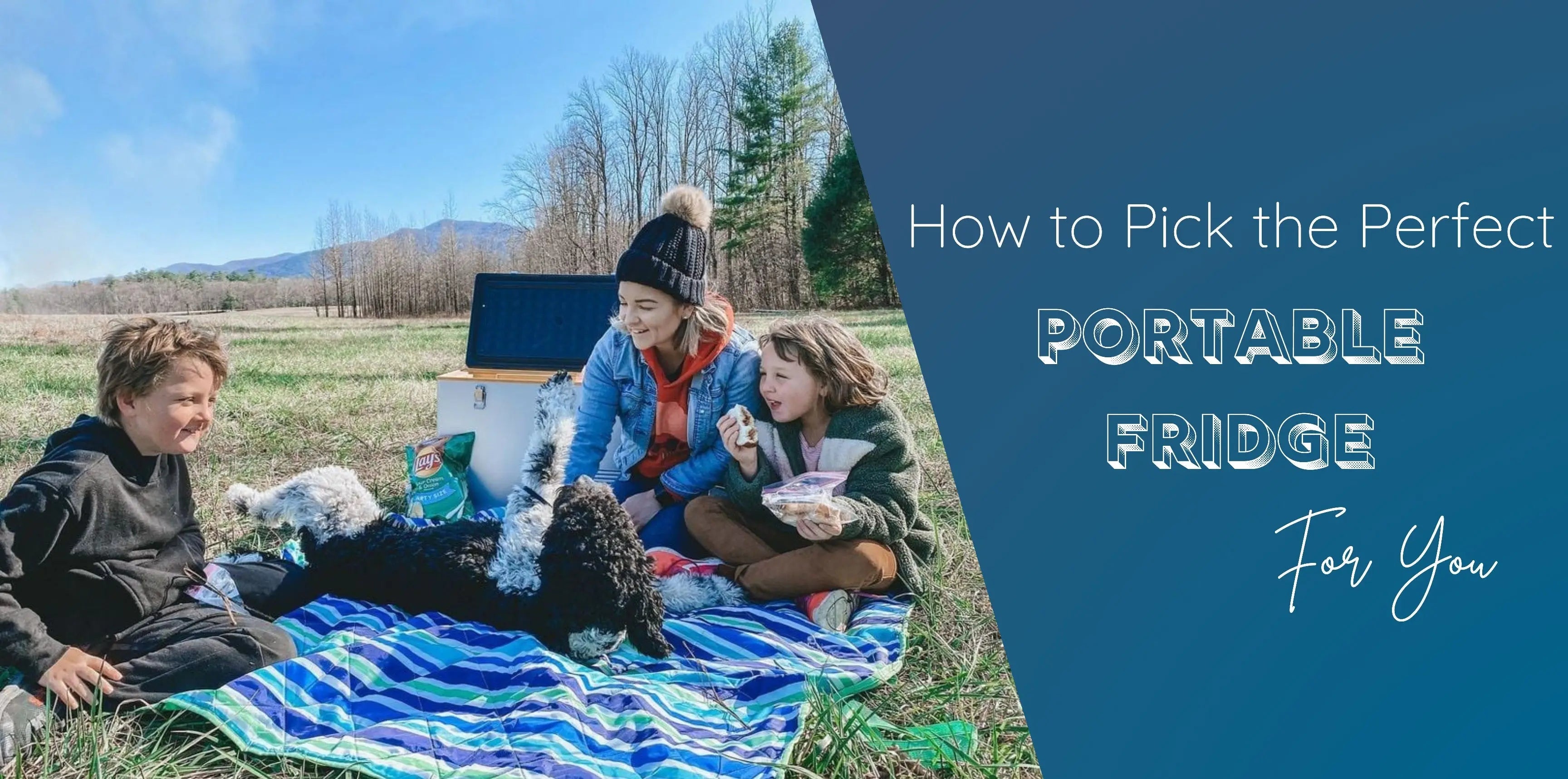 How to Pick the Perfect Portable Fridge For You