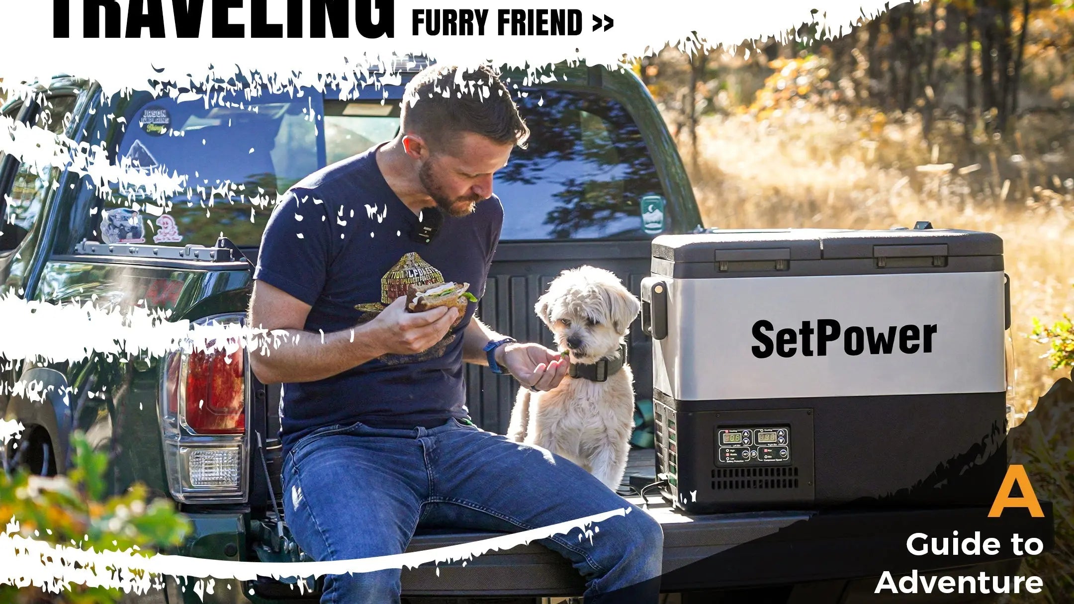 Traveling with Your Furry Friend: A Guide to Adventure with Your Dog