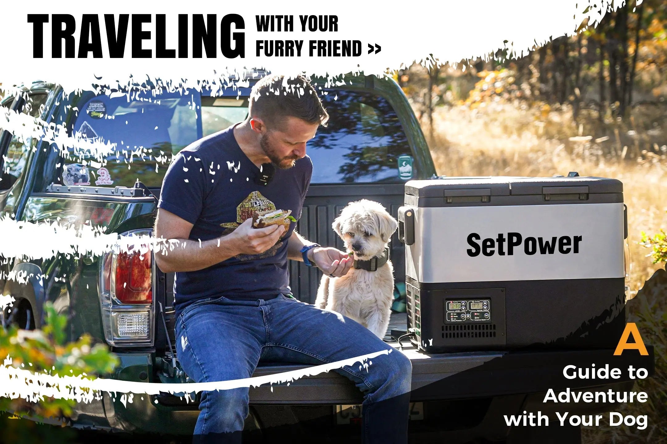 Traveling with Your Furry Friend: A Guide to Adventure with Your Dog