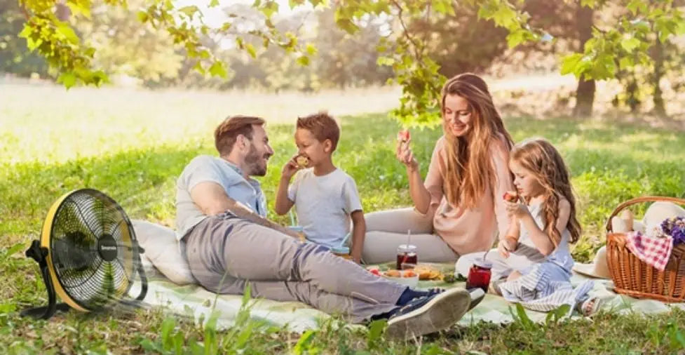 Benefits of Using a Fan