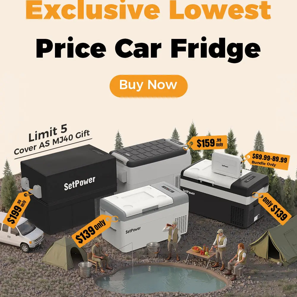 Exclusive Lowest Price Car Fridge